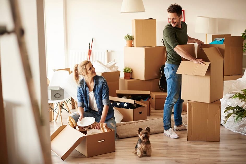 95% Orang Gak Kepikiran Beli 5 Barang Krusial Pas Pindahan Rumah